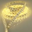 LED Waves Offers 10% Discount and Complimentary Shipping on Waterproof...